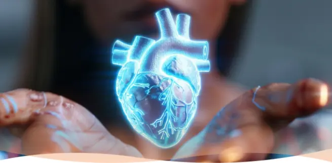 Holographic human heart above cupped hands