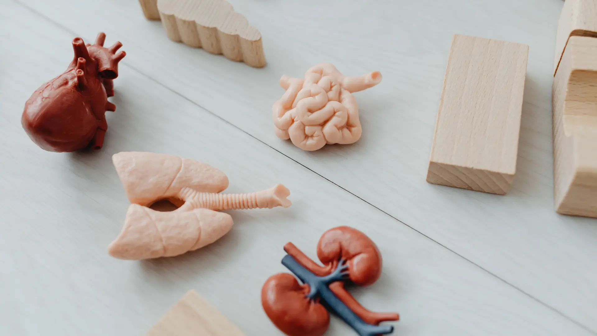 Healthcare FAQs for Employees — What You Need to Know About Your Plan with FEV3R Soalan Lazim Penjagaan Kesihatan untuk Pekerja — Apa yang Perlu Anda Tahu Mengenai Pelan Anda dengan FEV3R